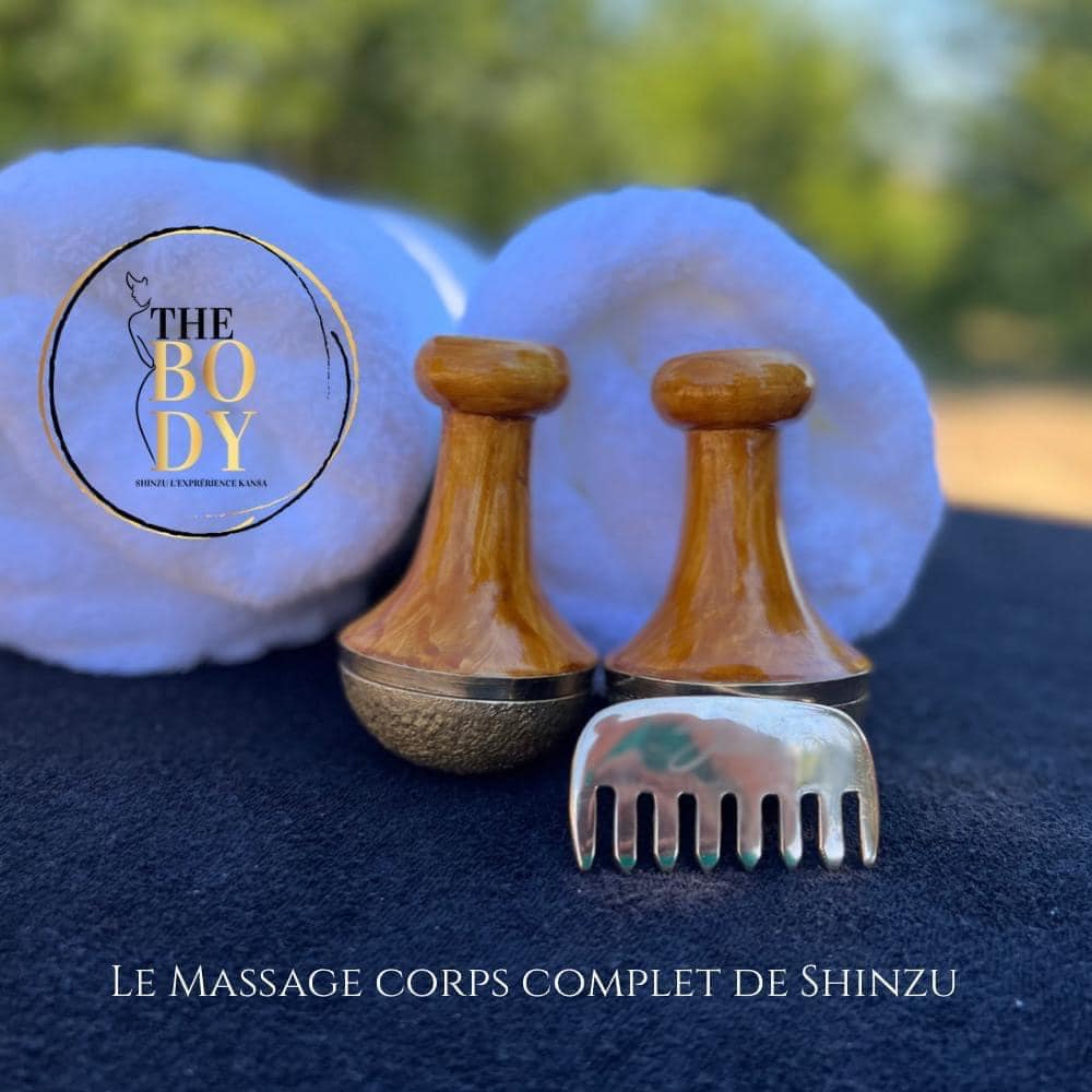 Formation Massage Shinzu The Body Marie Laure Gimenez